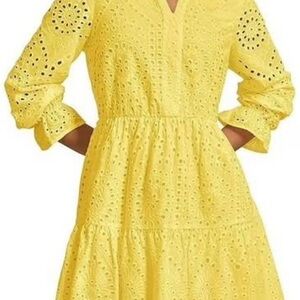XL Women's Long Sleeve Mini Dress Eyelet V Neck A Line Casual Elegant Holiday
